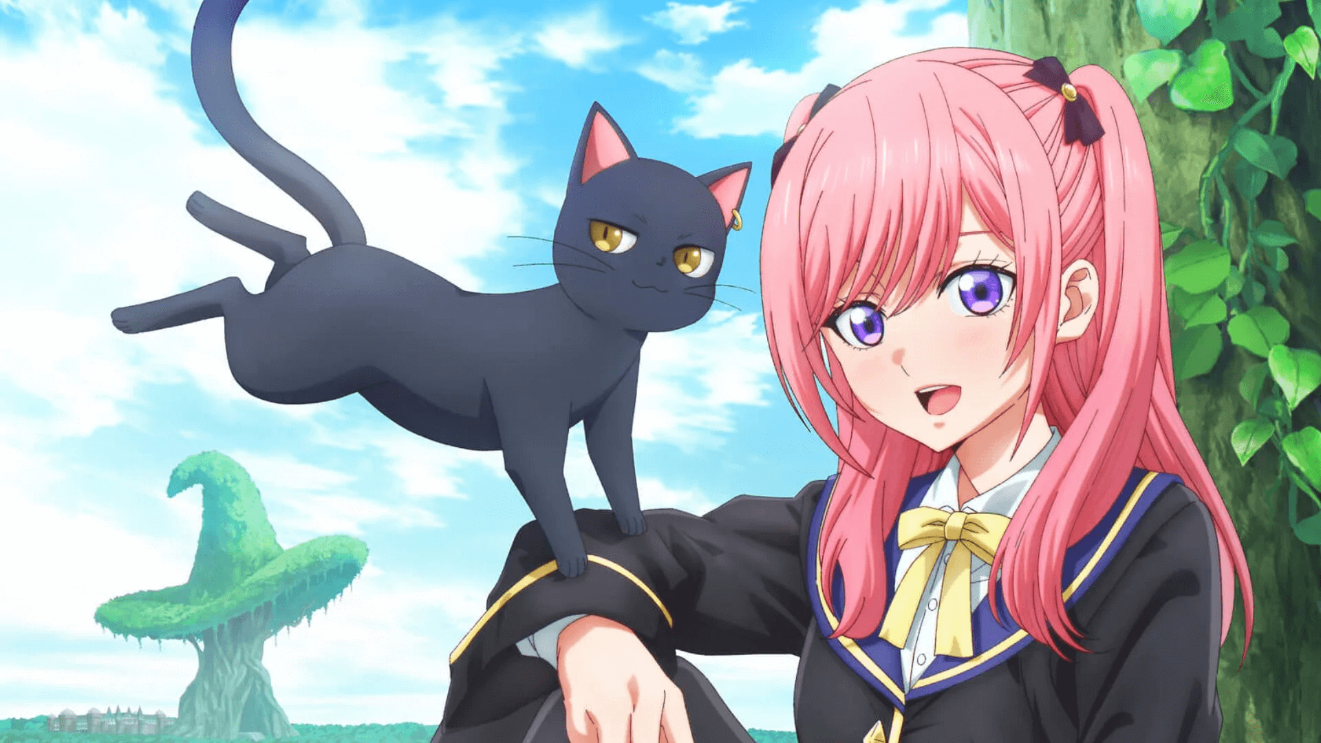 The Classroom of a Black Cat and a Witch